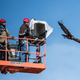 Jason Roadman and veterinarian Seth Oster release Nova (Photo: Dennis Schroeder/National Renewable Energy Lab)
